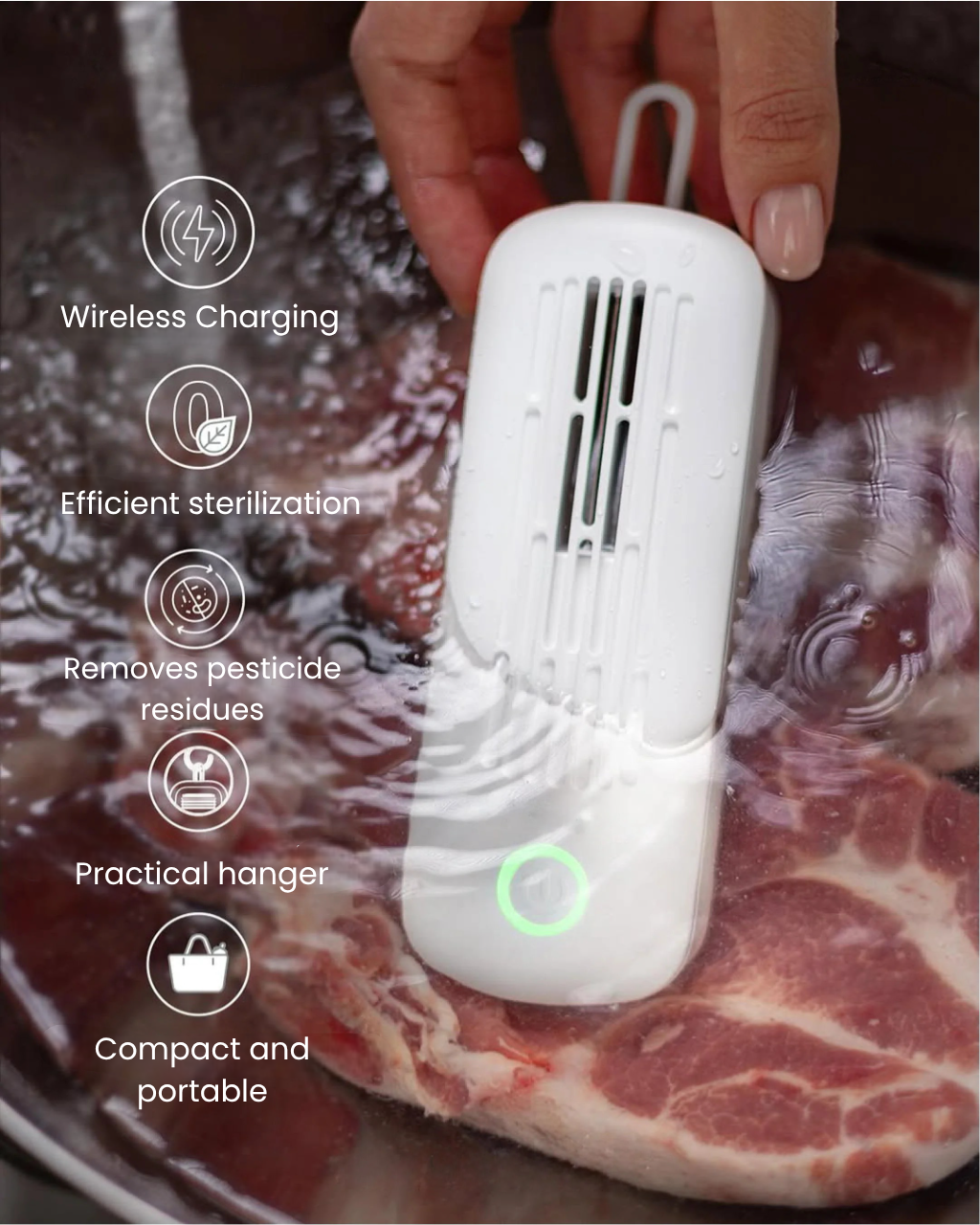Intelligent Food Sterilizer