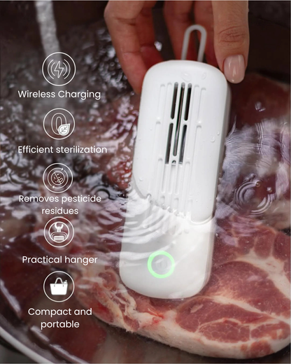 Intelligent Food Sterilizer