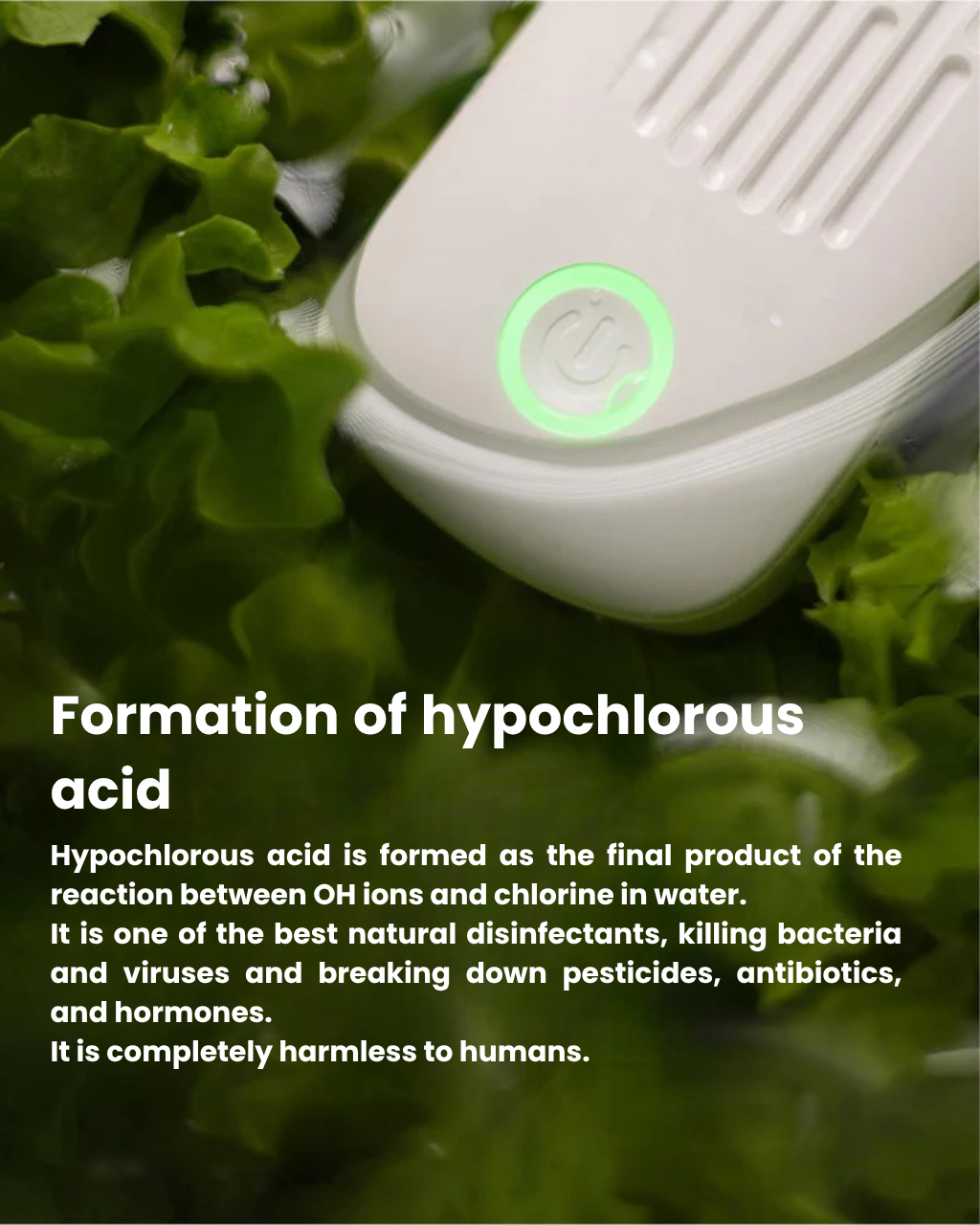 Intelligent Food Sterilizer