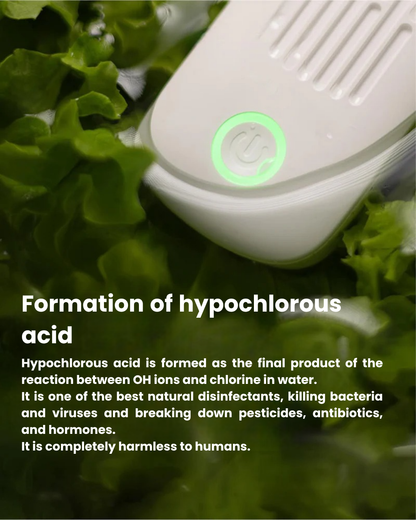 Intelligent Food Sterilizer