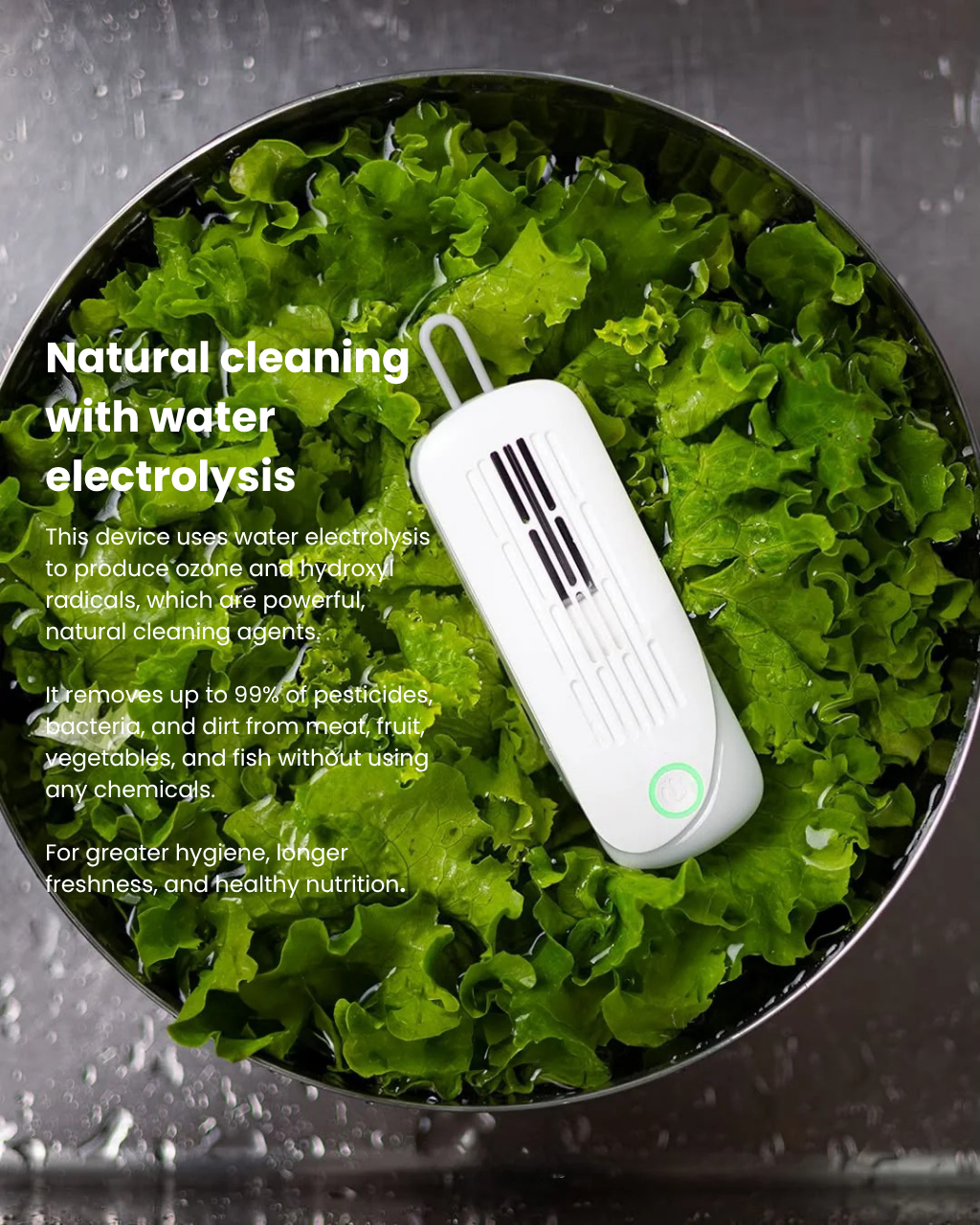 Intelligent Food Sterilizer