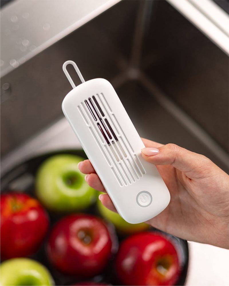Intelligent Food Sterilizer