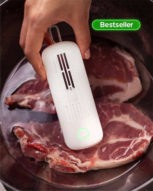 Intelligent Food Sterilizer