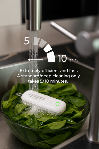 Intelligent Food Sterilizer